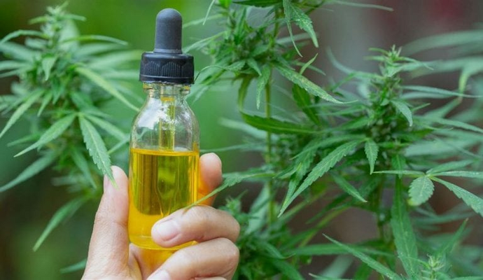What Is CBD Oil? Is it Okay for Christians to Use?