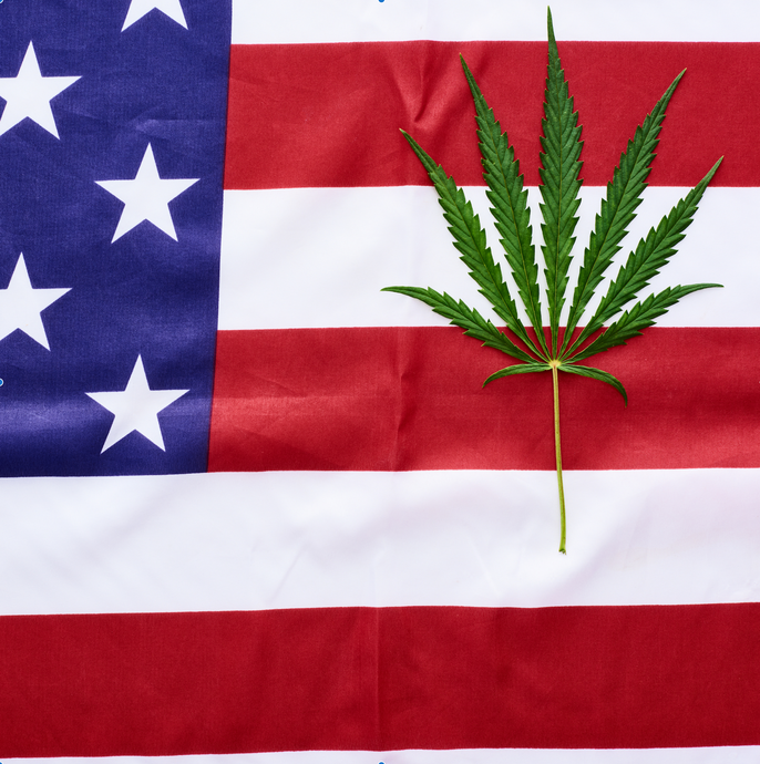 Is CBD Oil Legal in the United States? Everything You Need to Know