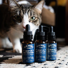 Load image into Gallery viewer, CBD Pet Oil 250mg
